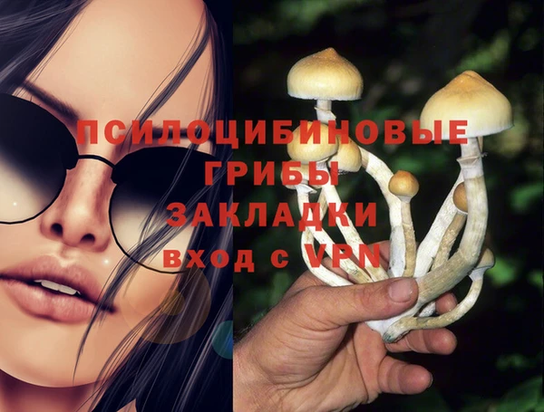 ПСИЛОЦИБИНОВЫЕ ГРИБЫ Алексин