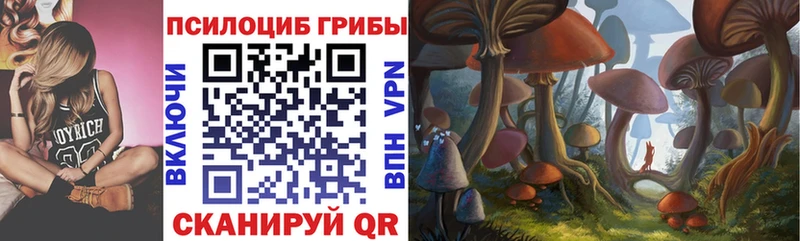 продажа наркотиков  Артёмовск  Псилоцибиновые грибы Magic Shrooms 